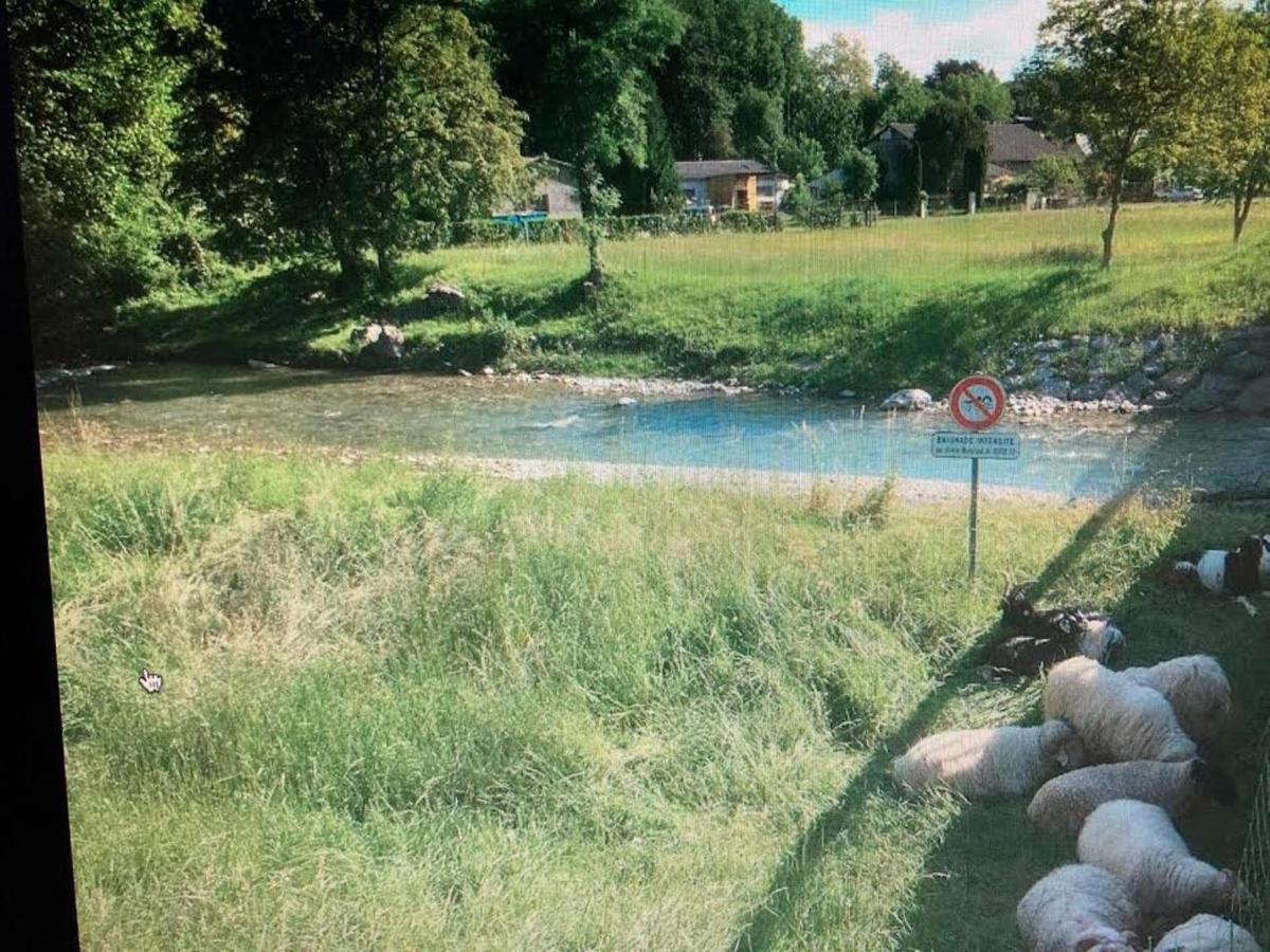 Maison Paisible Au Coeur Des Pyrenees Igon 외부 사진